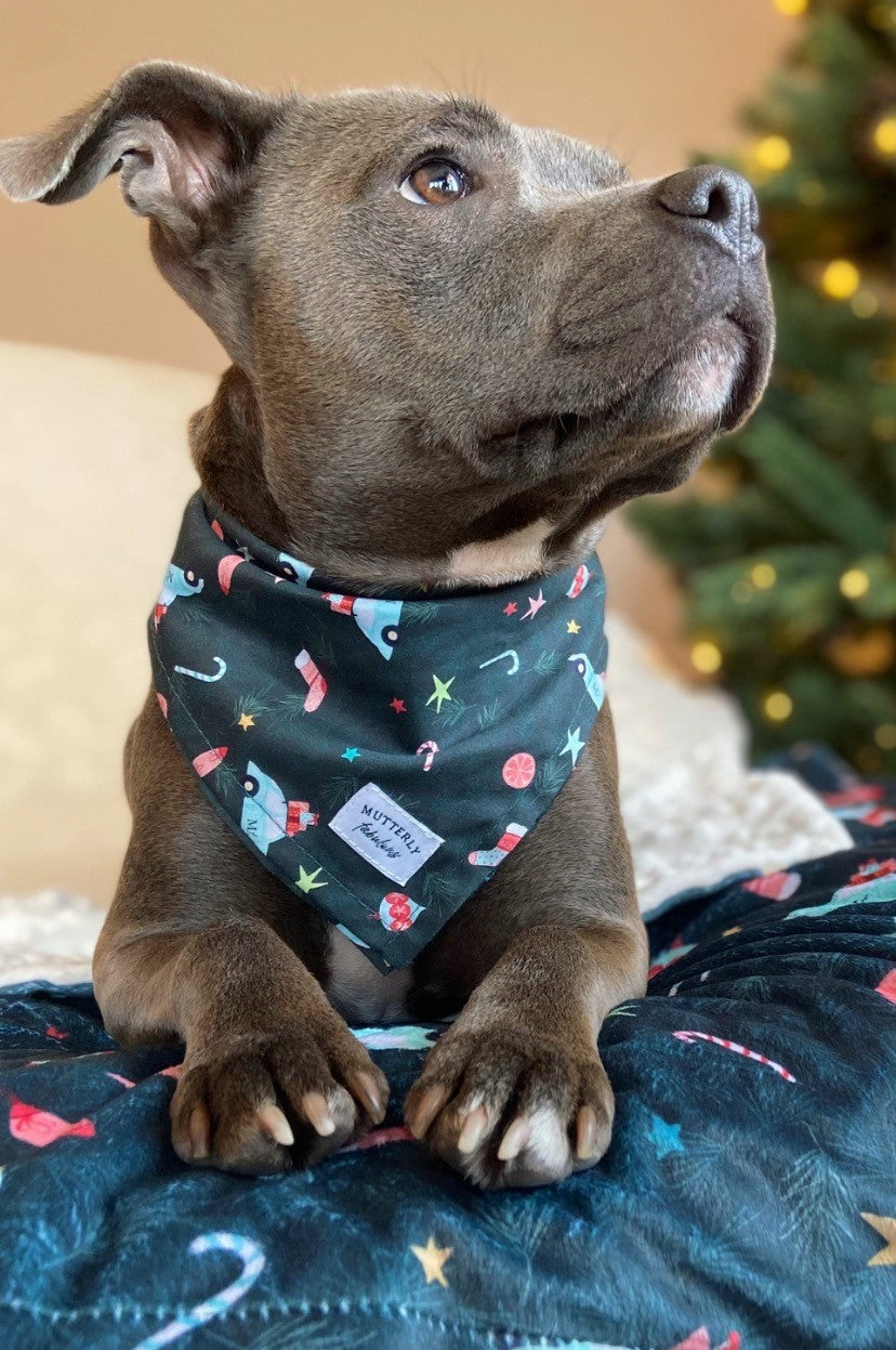 Christmas bandana clearance